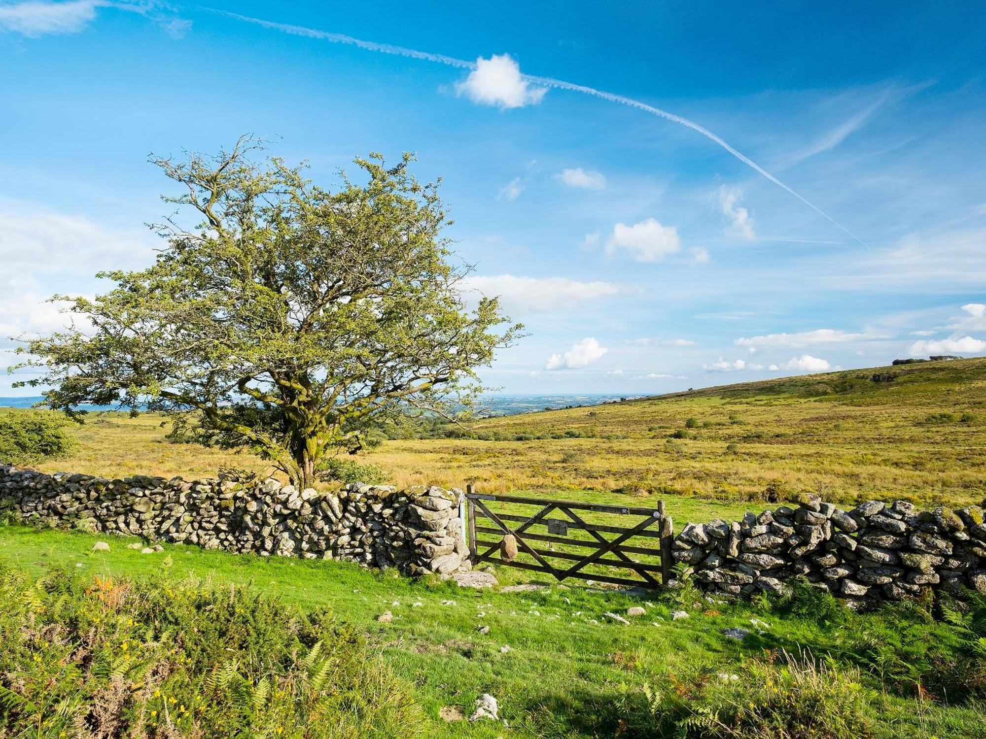 Valley Lodge 2 Callington 외부 사진